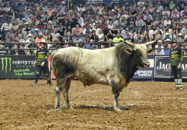 PBR Young Guns Quick to the Draw at Music City Knockout